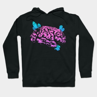 Crystals Brain - Pink and Blue Hoodie